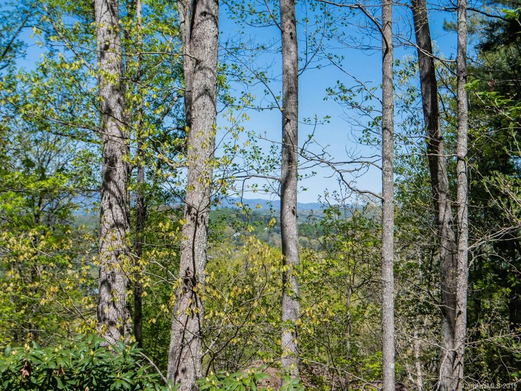 204 Cherokee Road Asheville, NC 28804 - Photo 24 of 42 Gallery Image 24