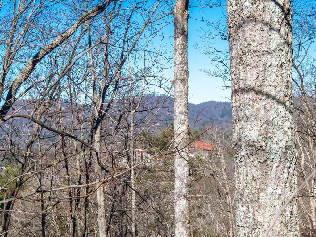 204 Cherokee Road Asheville, NC 28804 - Photo 42 of 42 Gallery Image 42