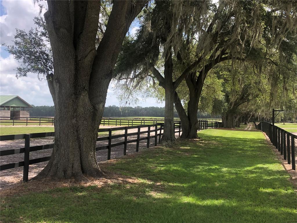 30th Street Morriston, FL 32668 - Photo 4 of 5