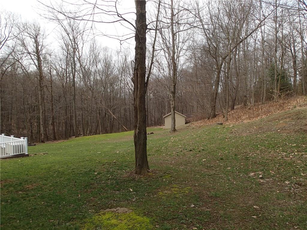 905 Sewickley Road Beaver Falls, PA 15010 - Photo 3 of 24 Great treed location and that shed you see in the distance was recently added at cost of $5,000.