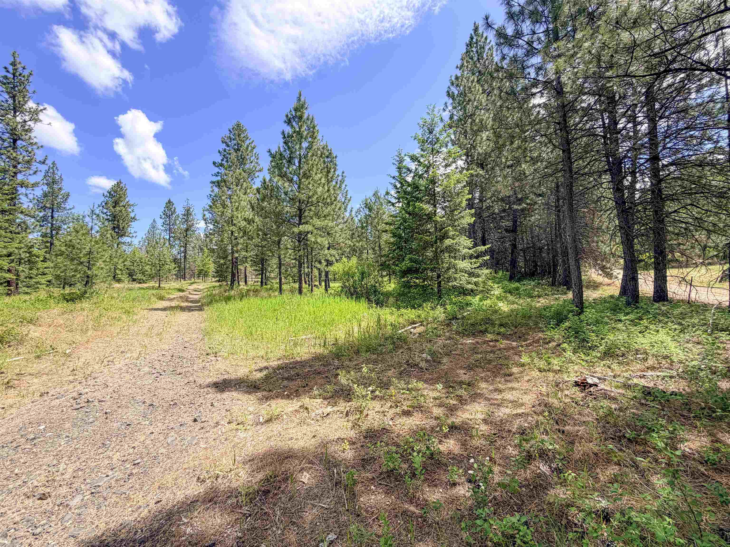 357-xx North Conklin Road Elk, WA 99009 - Photo 17 of 40 Gallery Image 17