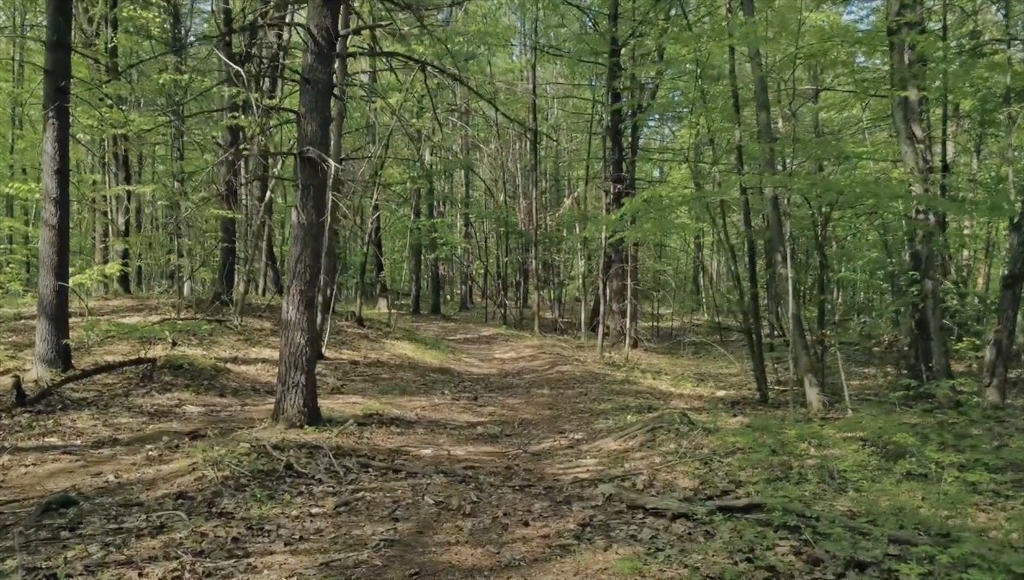 32 Hollow Road Wales, MA 01081 - Photo 11 of 35