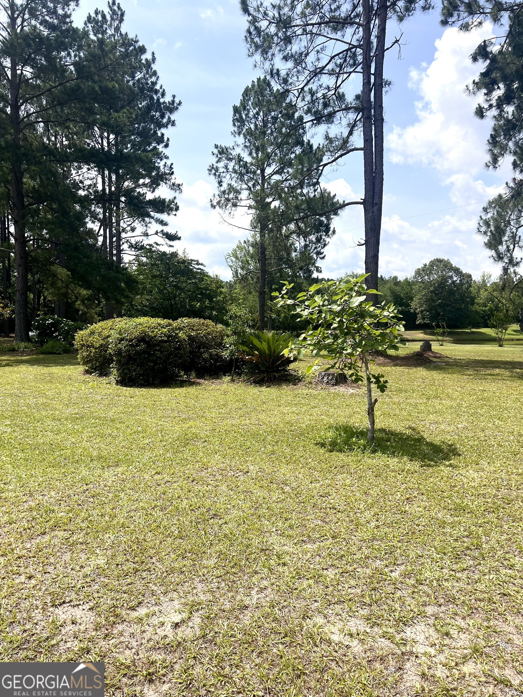 2019 Scharie Lane Rentz, GA 31075 - Photo 15 of 47