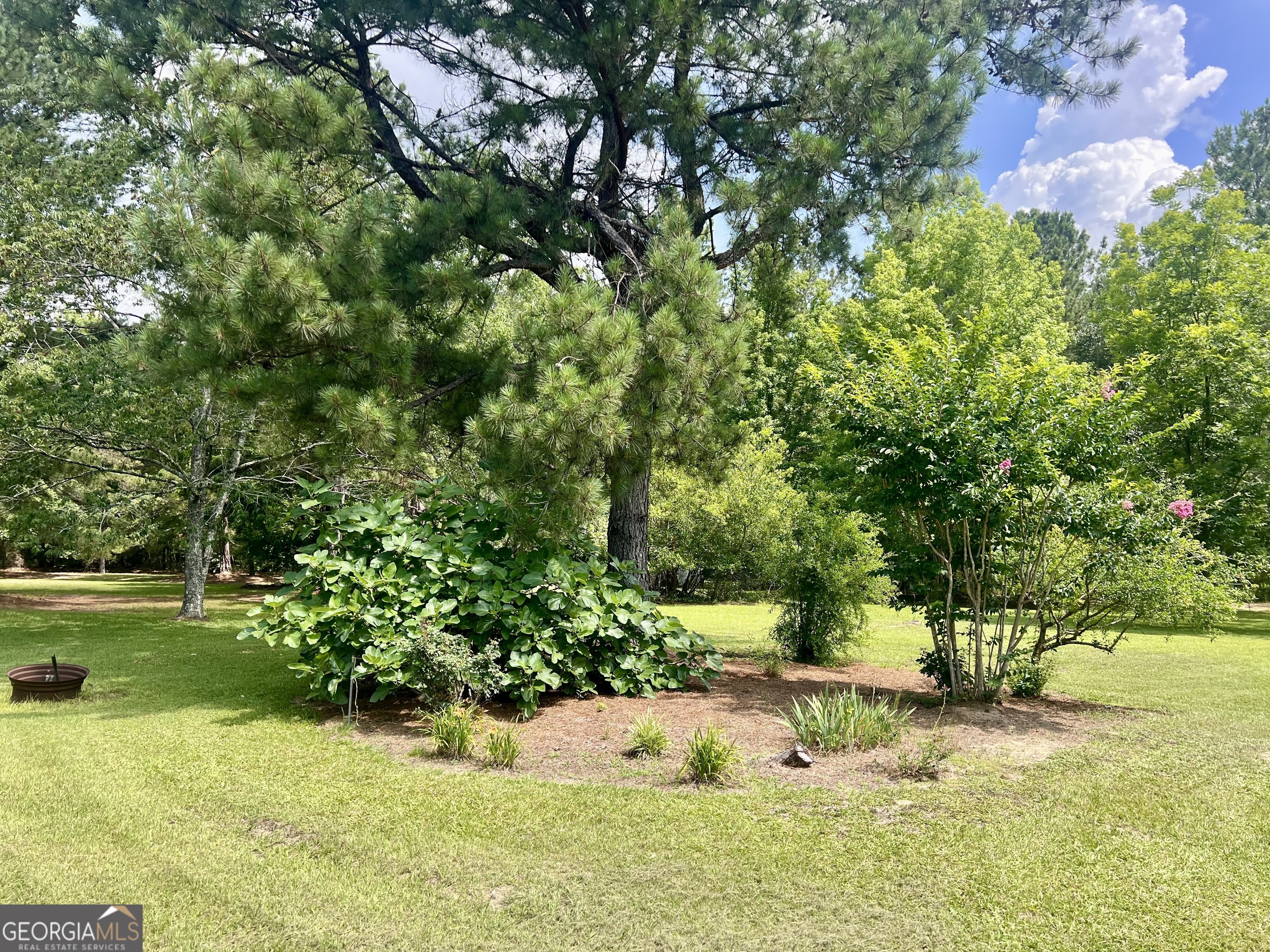 2019 Scharie Lane Rentz, GA 31075 - Photo 18 of 47