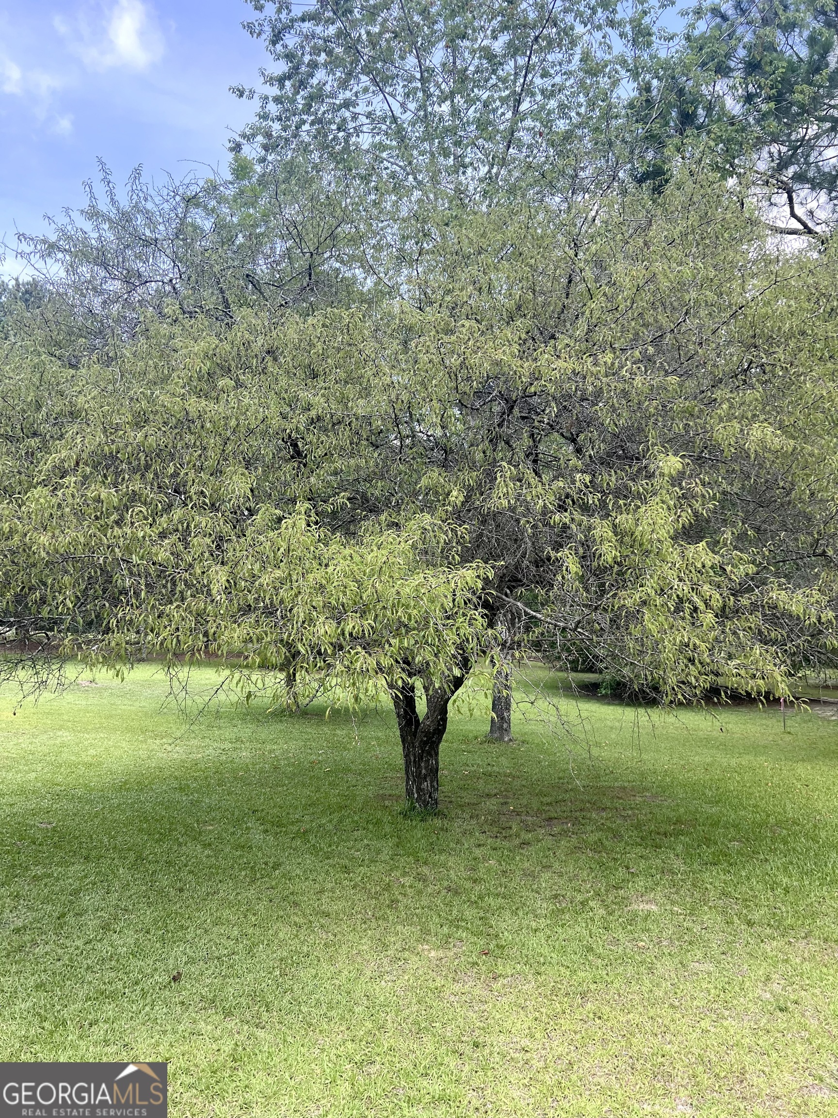 2019 Scharie Lane Rentz, GA 31075 - Photo 26 of 47