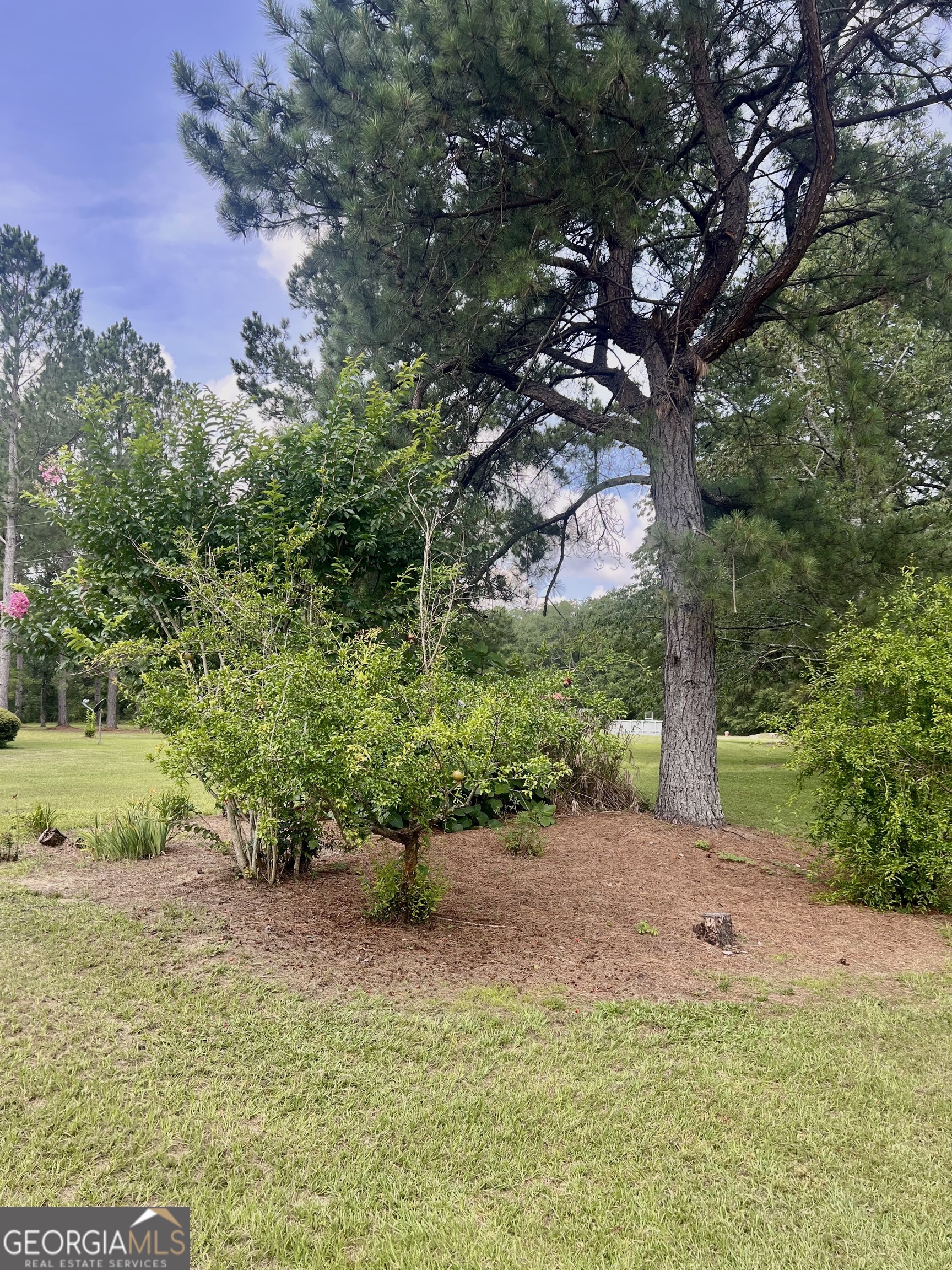 2019 Scharie Lane Rentz, GA 31075 - Photo 29 of 47