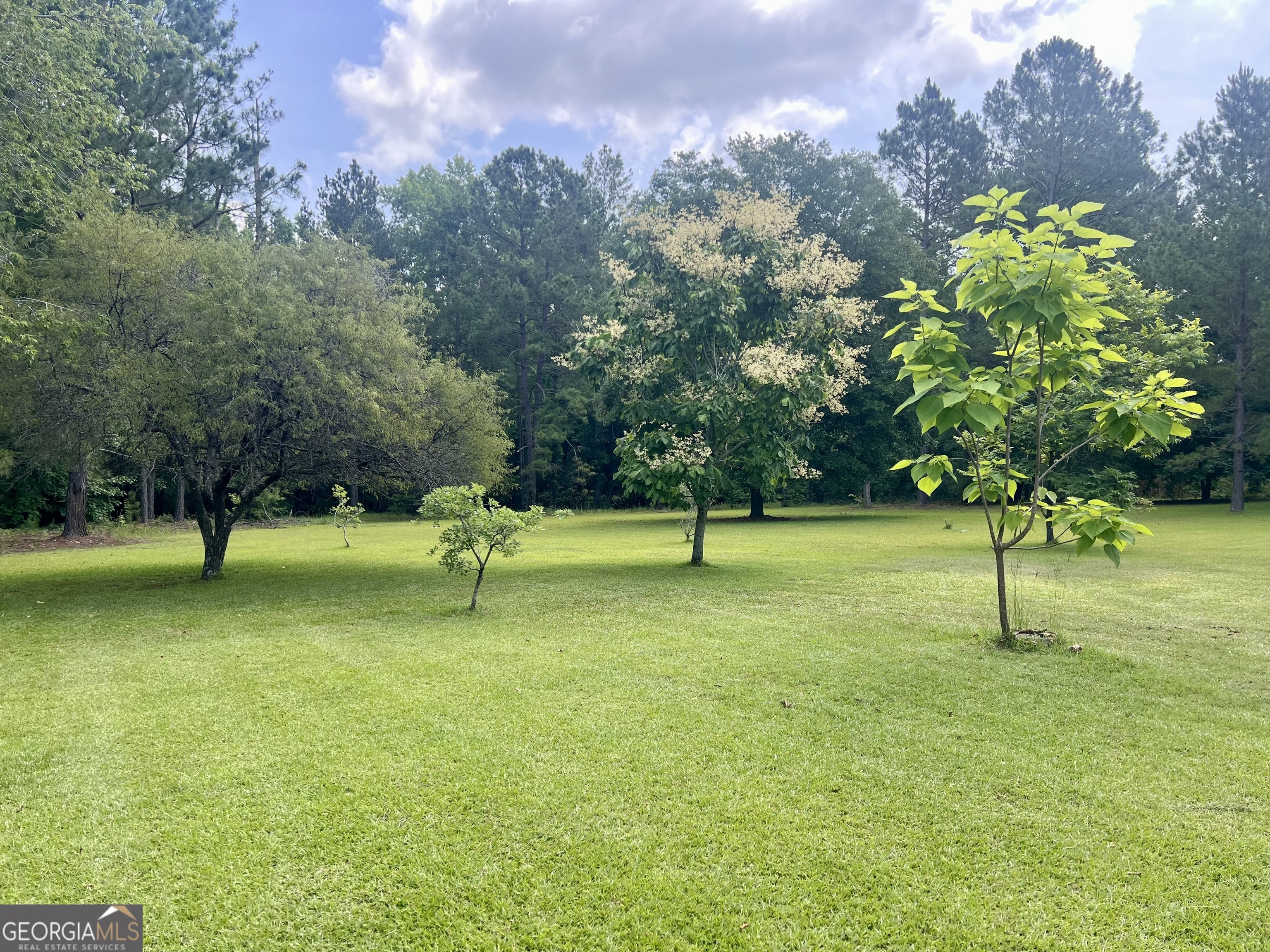 2019 Scharie Lane Rentz, GA 31075 - Photo 30 of 47