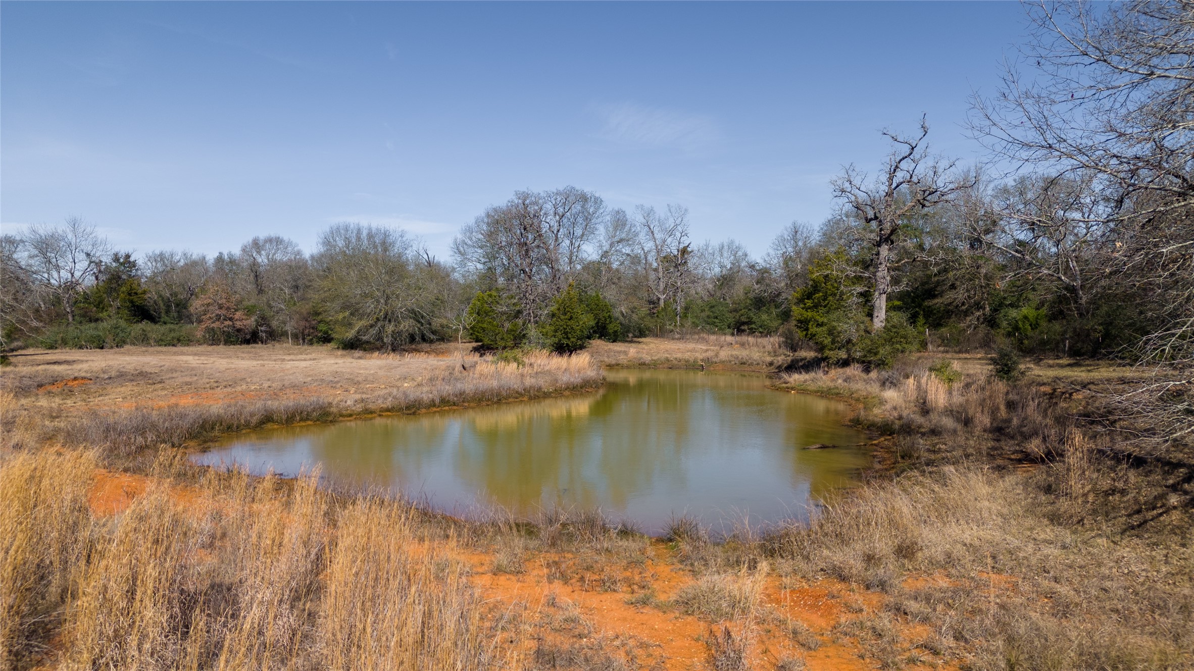 a view of lake with green space