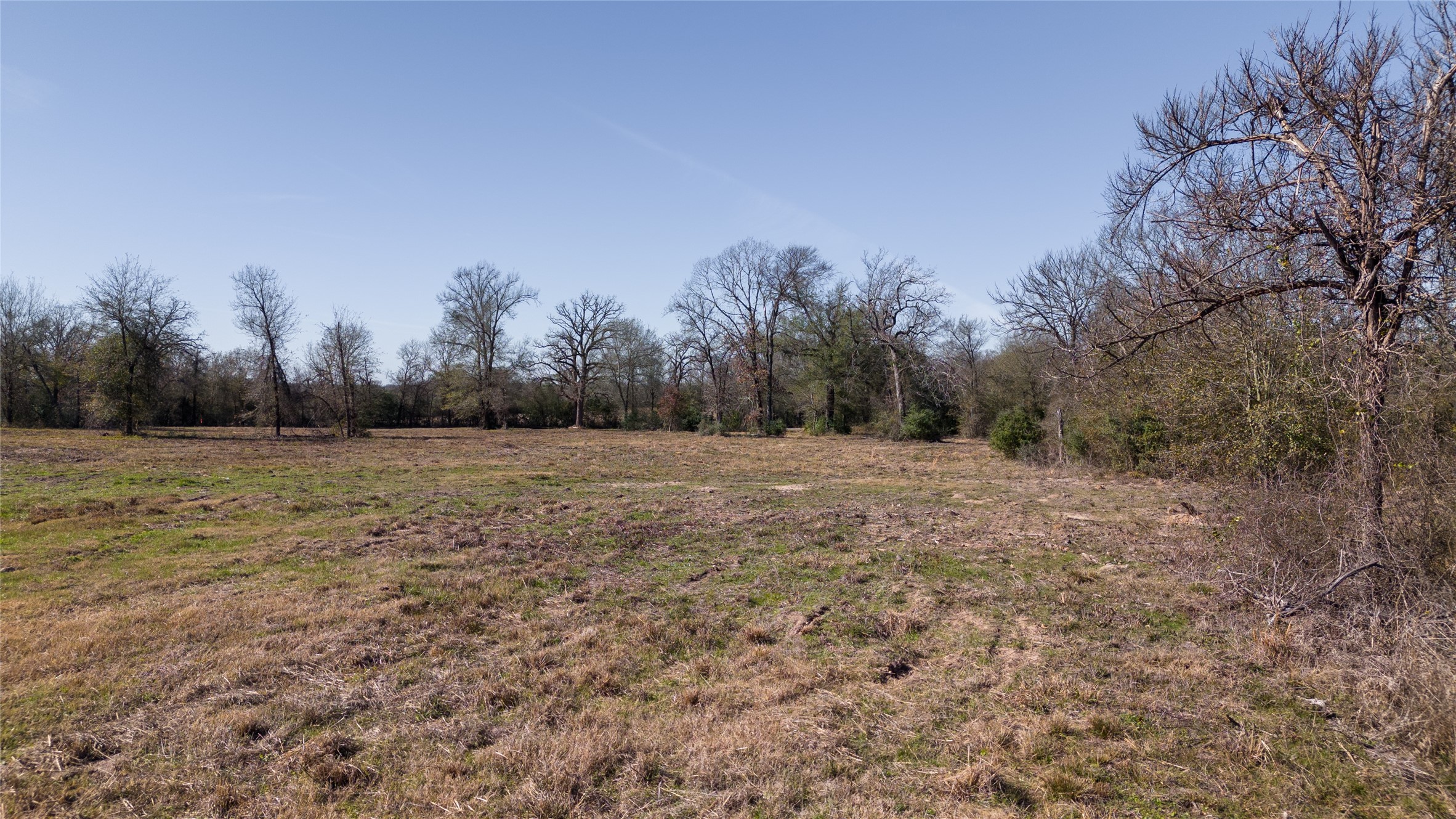6 Wallace Road Midway, TX 75852 - Photo 4 of 11 a view of a field