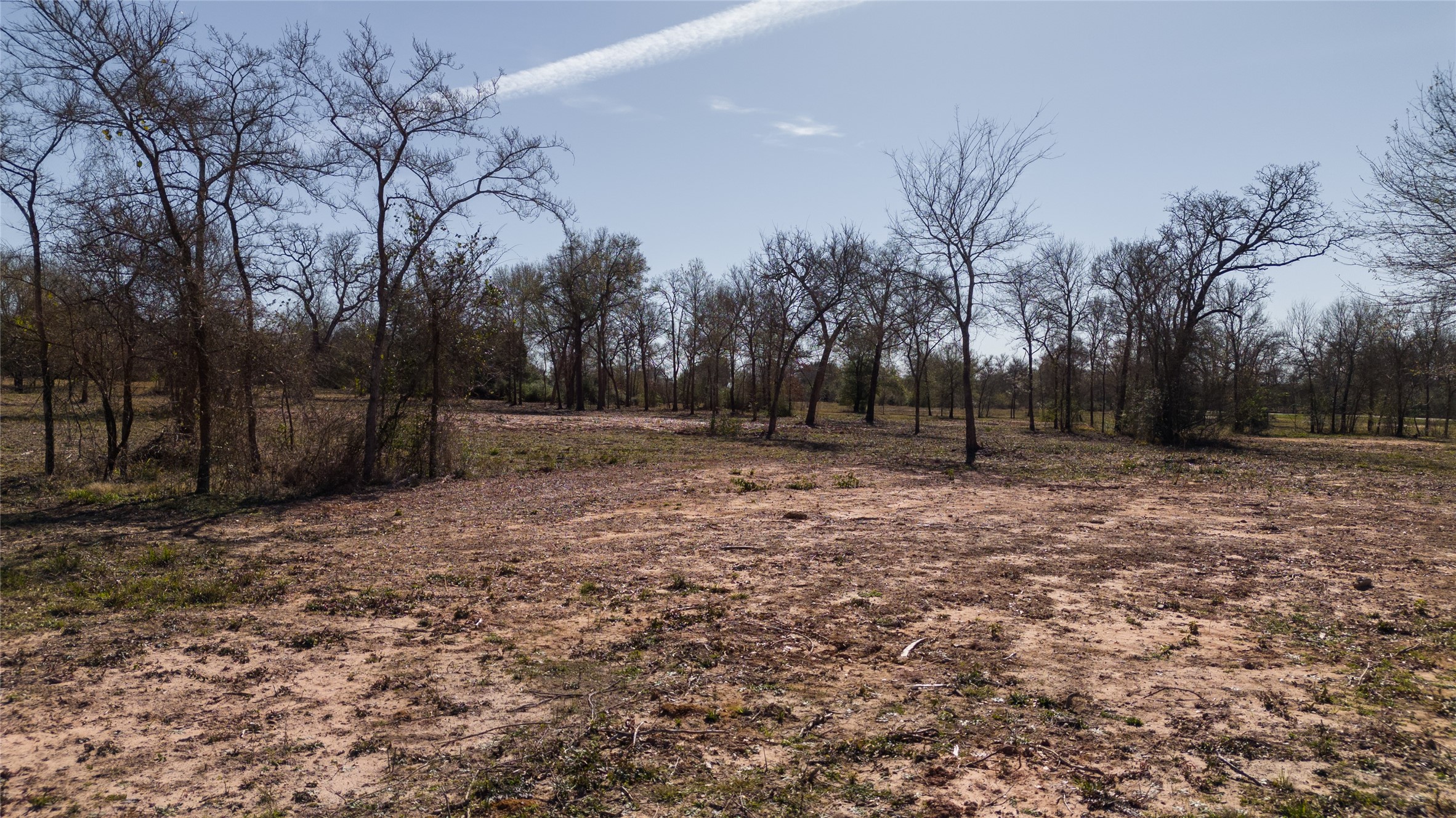 6 Wallace Road Midway, TX 75852 - Photo 10 of 11 a view of outdoor space with trees
