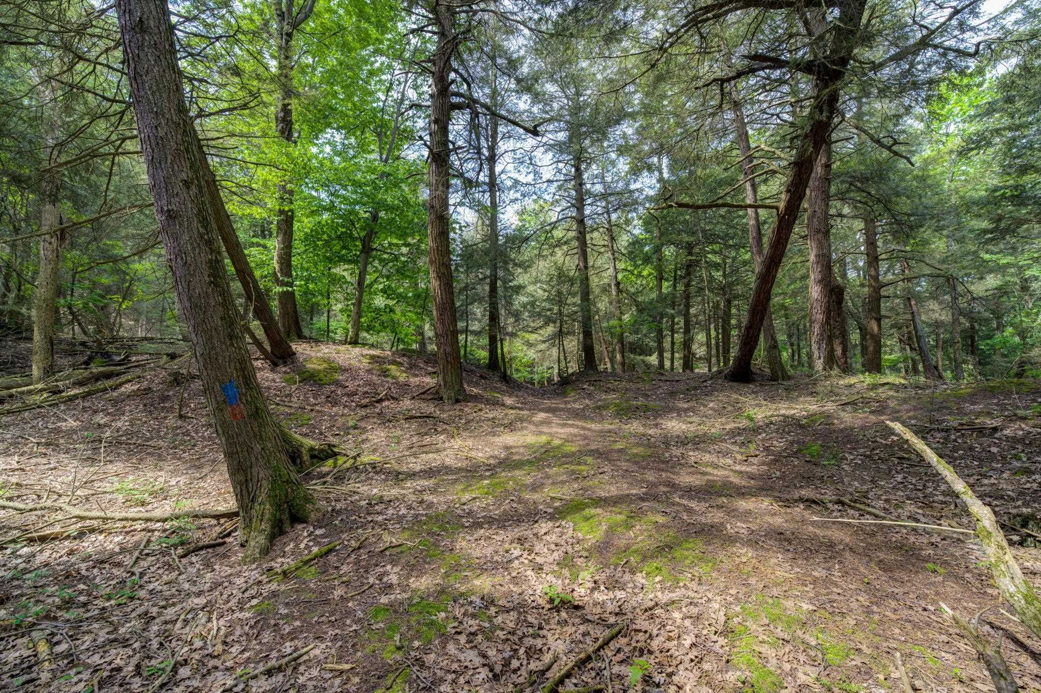 3312 Old State Road Frankfort, MI 49635 - Photo 79 of 85