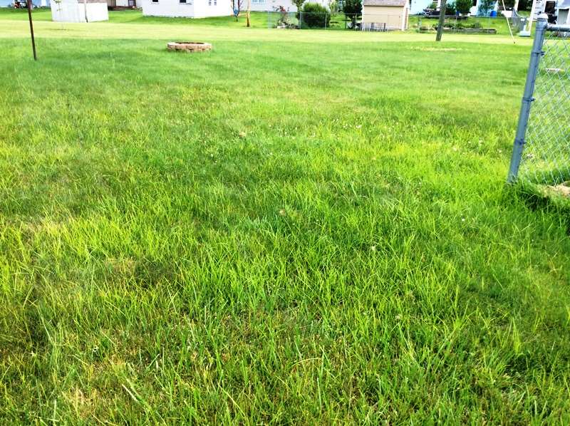 116 Seikirk Lane Decatur, IN 46733 - Photo 25 of 27