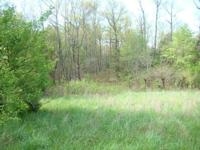 700 Oil Springs Road Winchester, KY 40391 - Photo 3 of 10 Photo 3