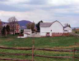 a view of a house with a big yard and a large trees