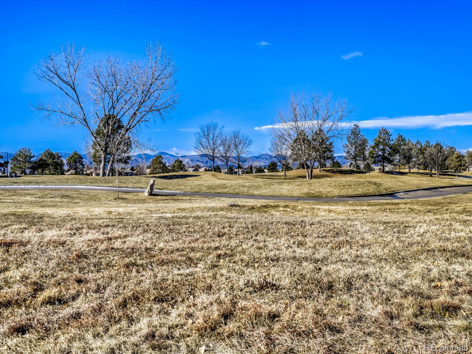 8893 Tappy Toorie Circle Highlands Ranch, CO 80129 - Photo 27 of 36 a view of a yard with a house in a yard
