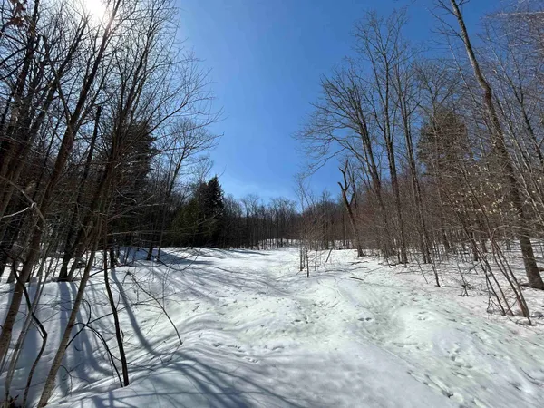 $375,000 | Lot #4 Margeaux Lane, Jamaica, VT 05343