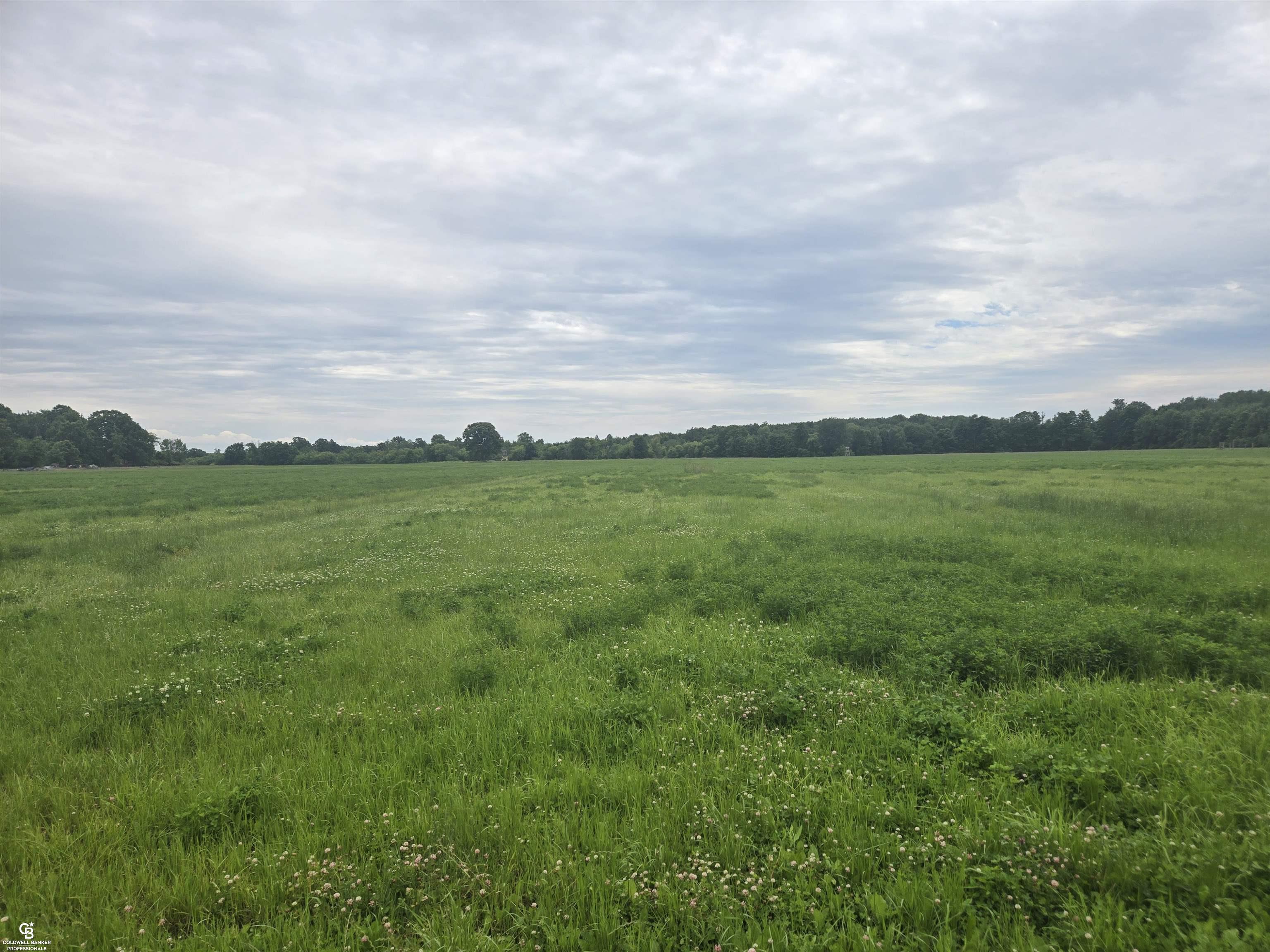 0 Imlay City Vl Road Avoca, MI 48006 - Photo 12 of 18
