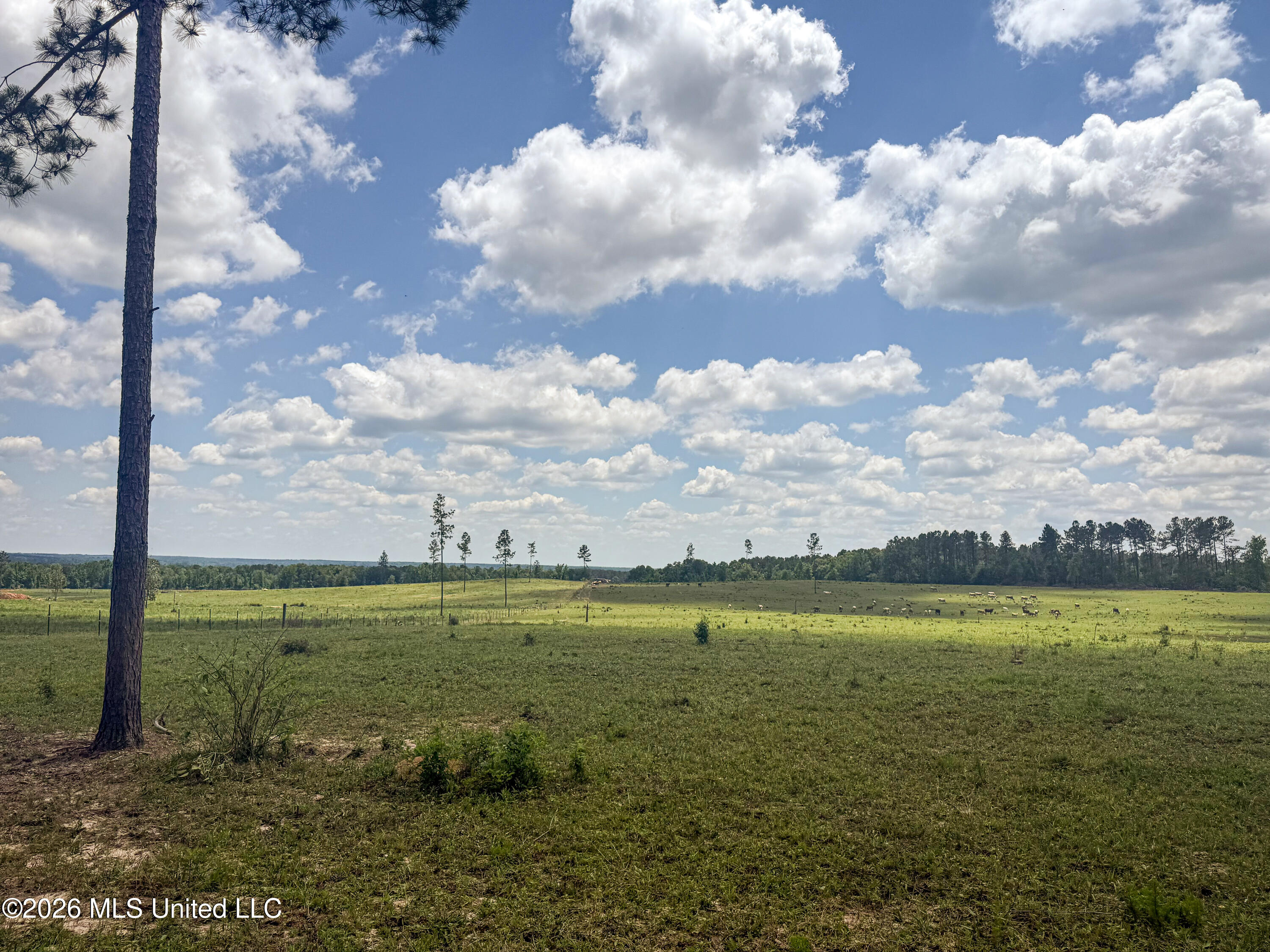 Southeast Gleenwood Road Southeast Ruth, MS 39662 - Photo 21 of 24 IMG_1410