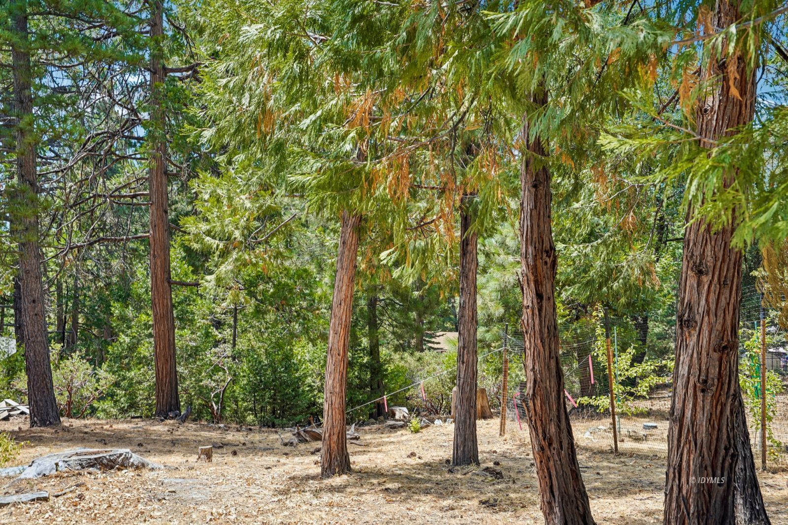 25447 Marion Ridge Drive Idyllwild, CA 92549 - Photo 33 of 41 Exterior