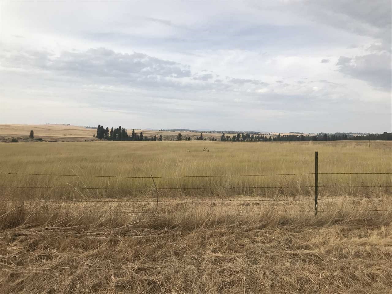 Xxx West Sprague Road Medical Lake, WA 99022 - Photo 2 of 6 Gallery Image 2