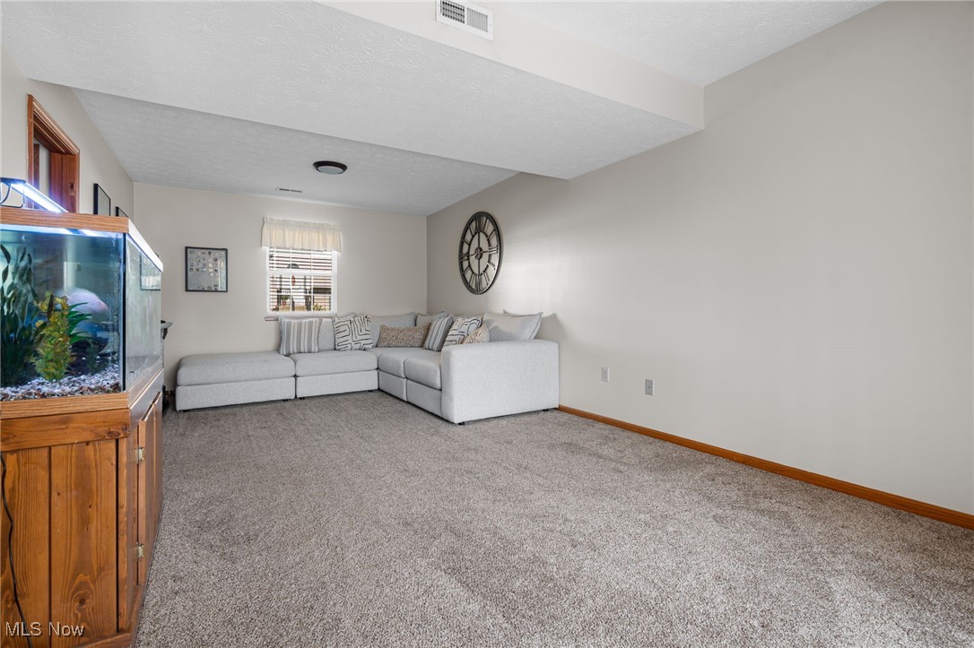 64 River Ridge Lane Munroe Falls, OH 44262 - Photo 19 of 25 Carpeted living area with a textured ceiling and baseboards