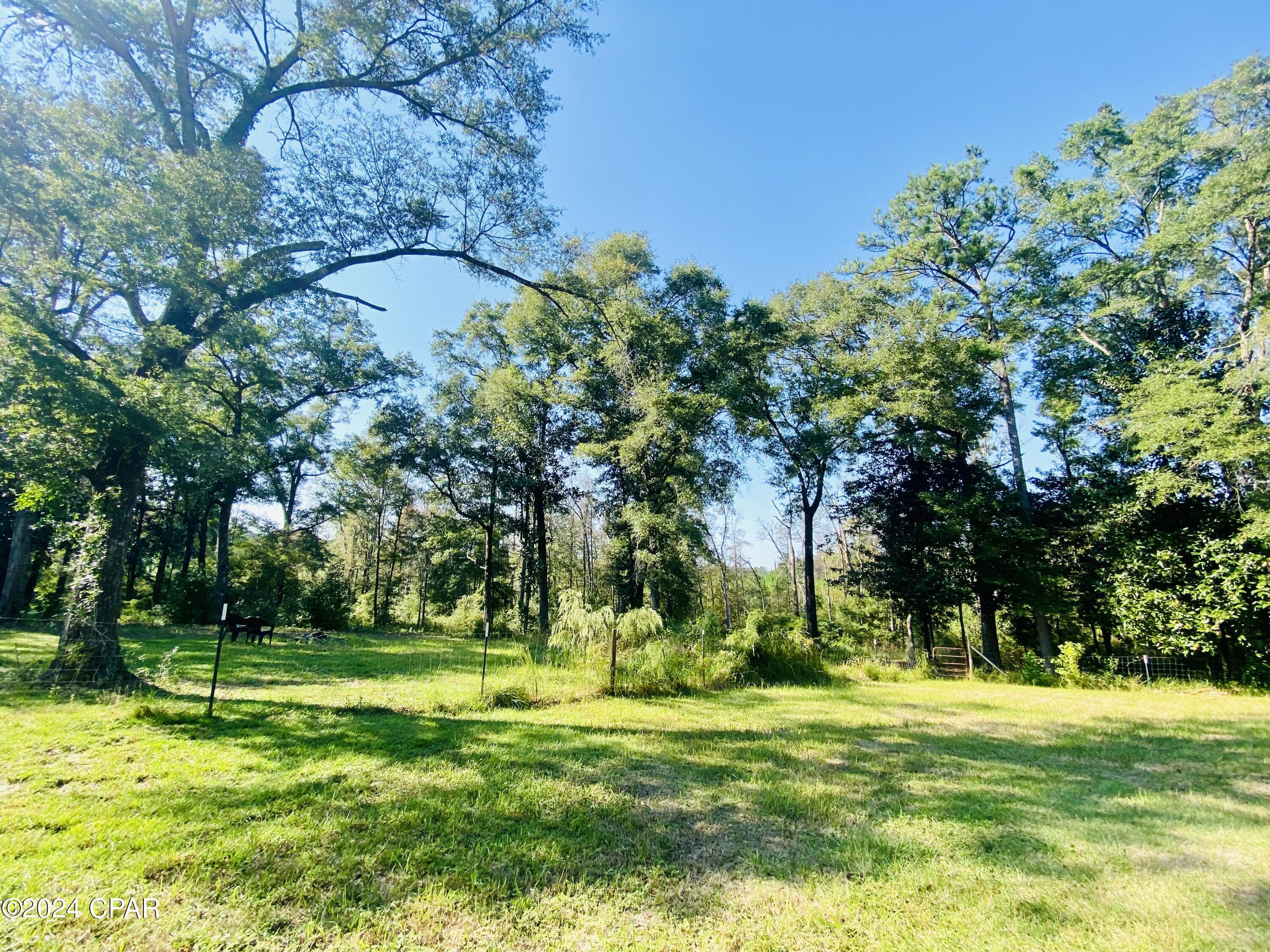 233 Skeeter Road Ponce de Leon, FL 32455 - Photo 38 of 48 Gallery Image 38