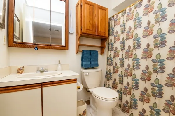 a bathroom with a sink toilet and mirror
