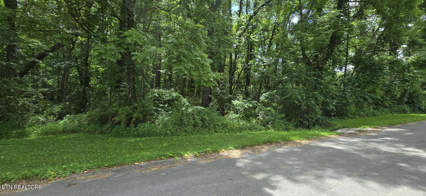 Shady Lane Oneida, TN 37841 - Photo 3 of 8 20260612_134613