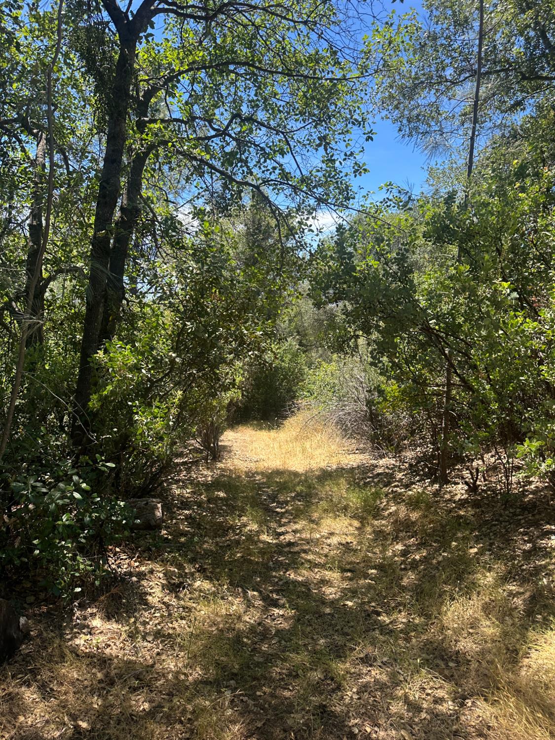 0 Bowman Road Pine Grove, CA 95665 - Photo 2 of 30