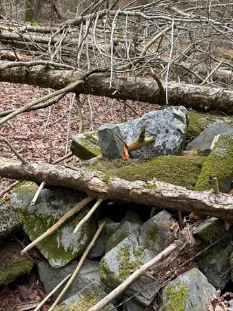 a view of swimming pool from a balcony