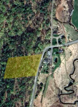 a view of a garden with plants