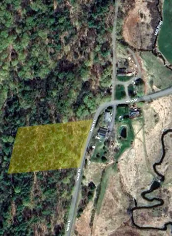 a view of a garden with plants