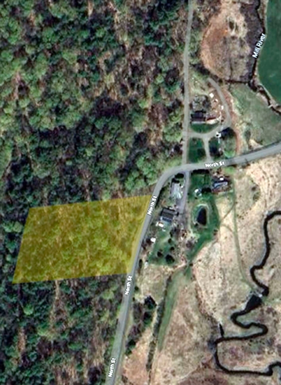 0 North Street Whately, MA 01093 - Photo 15 of 15 a view of a garden with plants