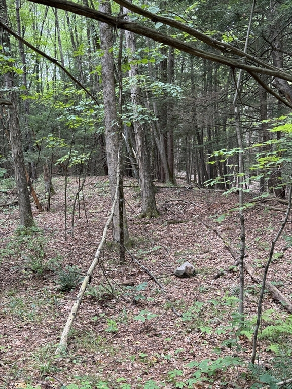 0 North Street Whately, MA 01093 - Photo 2 of 15 a backyard of a house with lots of green space