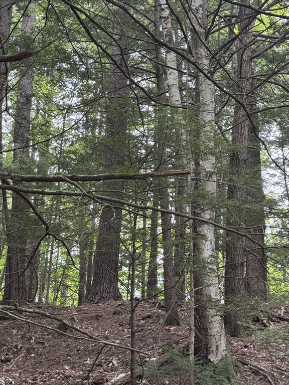 0 North Street Whately, MA 01093 - Photo 9 of 15 a view of street with a yard