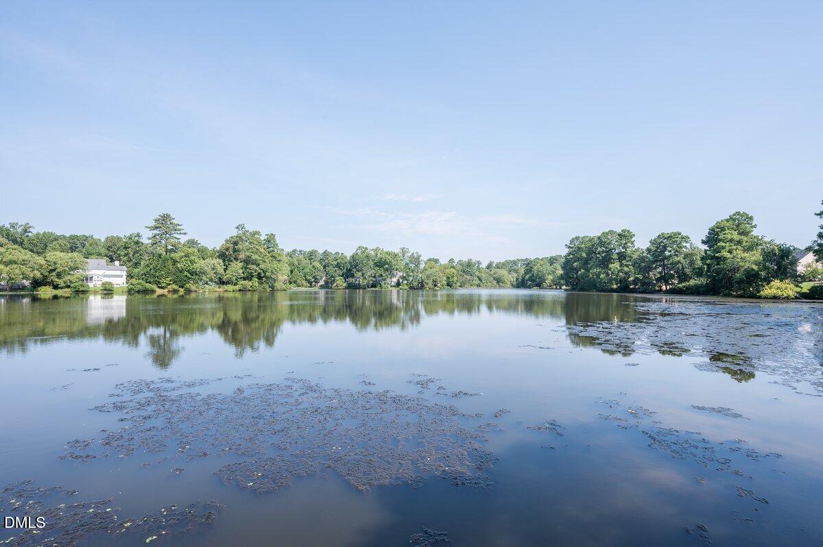 1701 Point O Woods Court Raleigh, NC 27604 - Photo 41 of 45 Hedingham 3