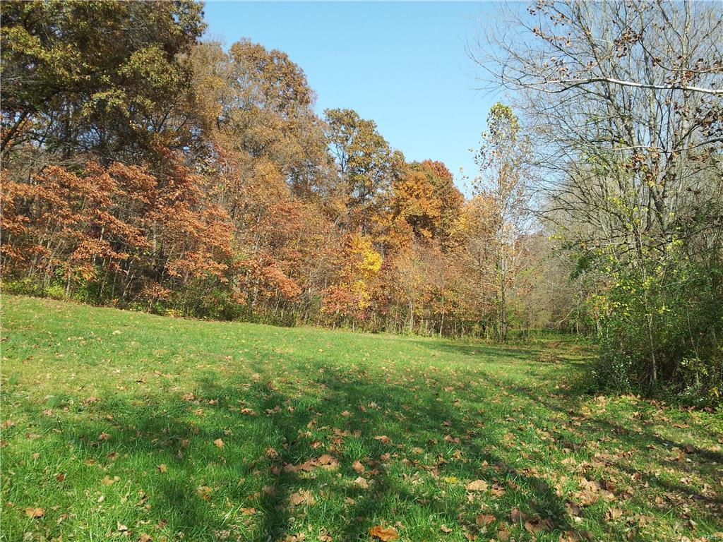 0 Dabbs North Road Fieldon, IL 62031 - Photo 2 of 3 Gallery Image 2