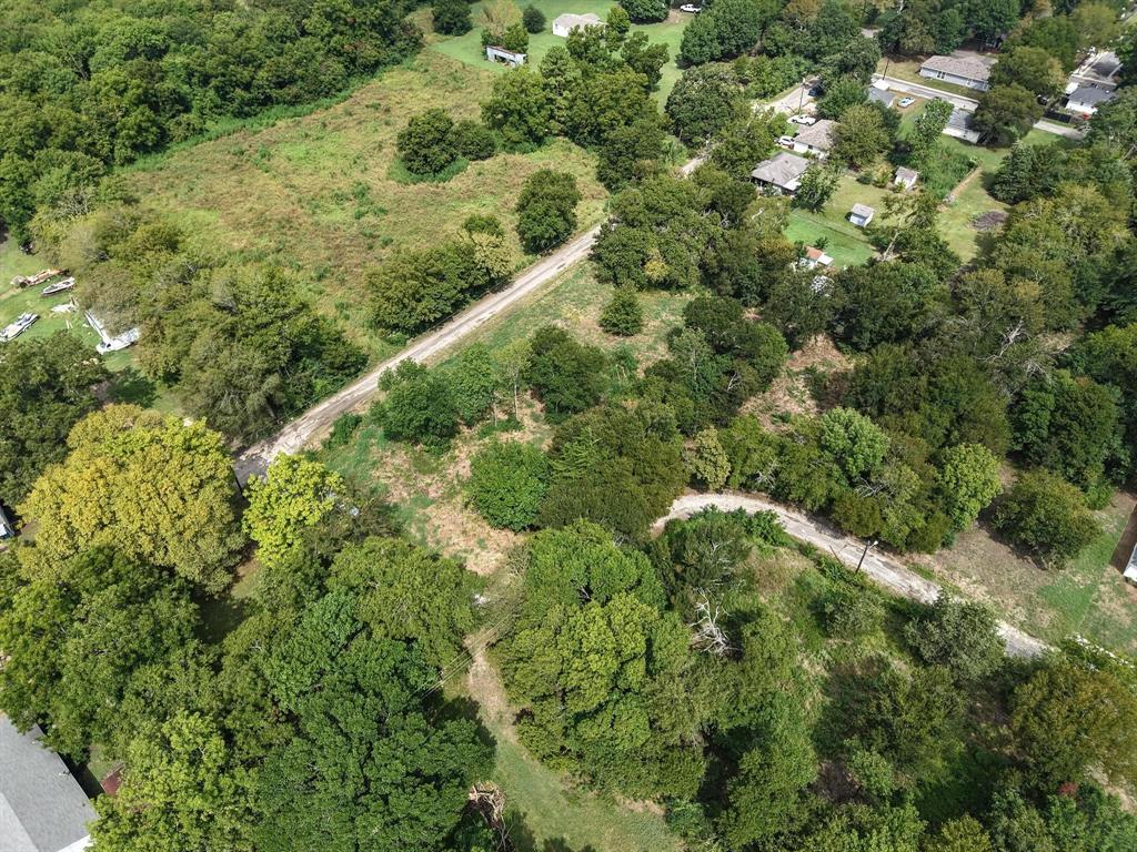 2 Smith Street Bonham, TX 75418 - Photo 8 of 17 a view of a forest with a tree