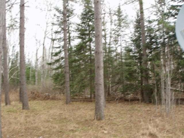 W5978 Lake Winter Road Winter, WI 54896 - Photo 17 of 17 Gallery Image 17