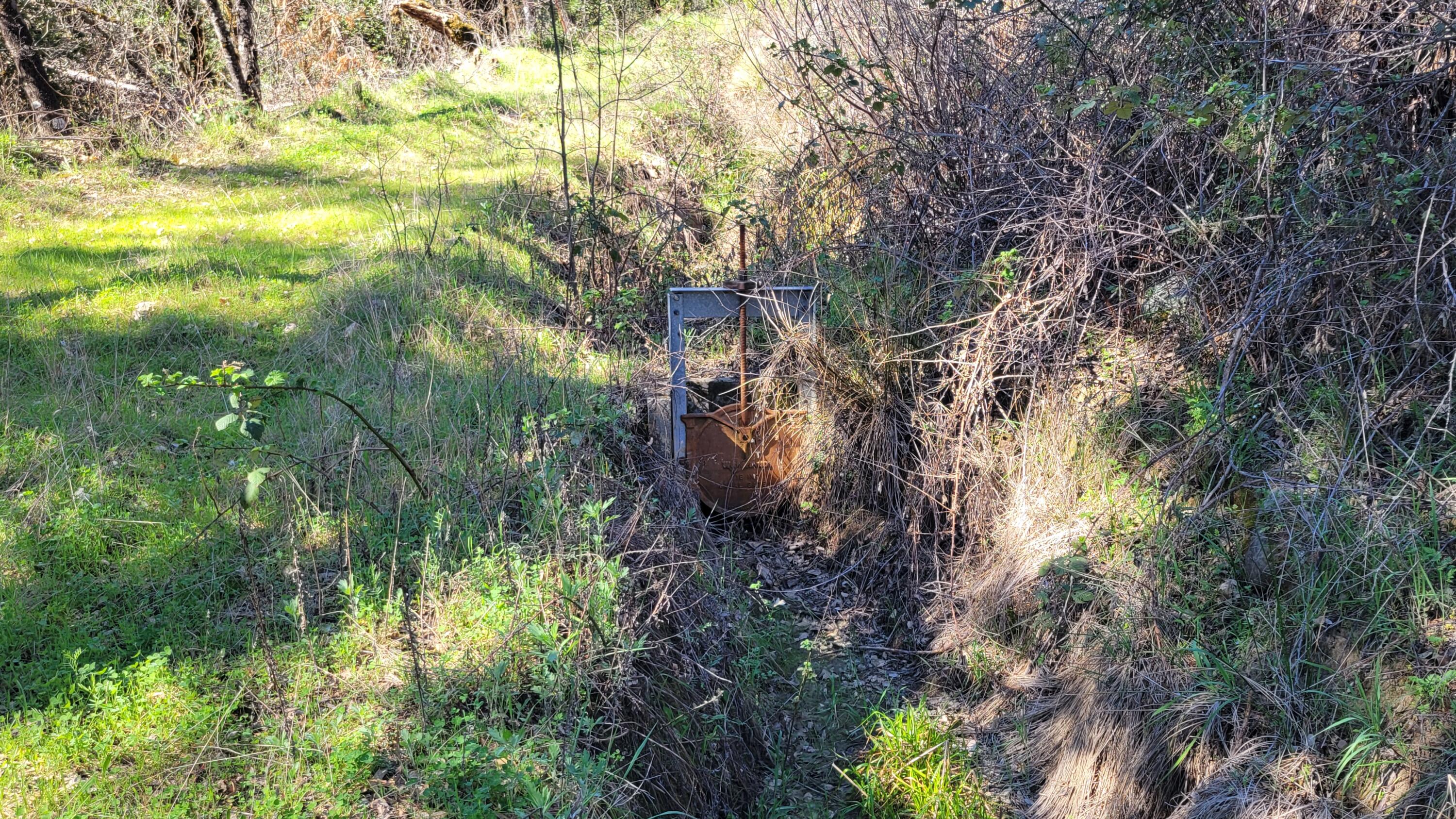 0 Jacey's Tract Road Oak Run, CA 96069 - Photo 13 of 35 20260317_120827