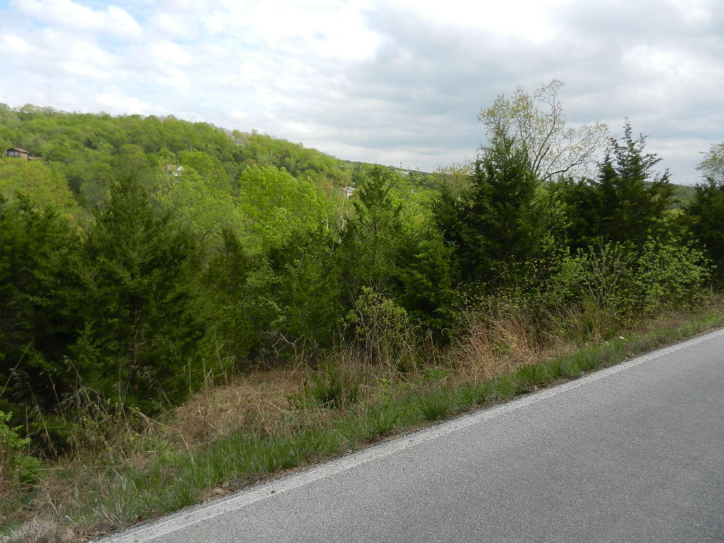 19-24 White Rock Bluff Branson Bluff Reeds Spring, MO 65737 - Photo 1 of 1 Beautiful hillside views