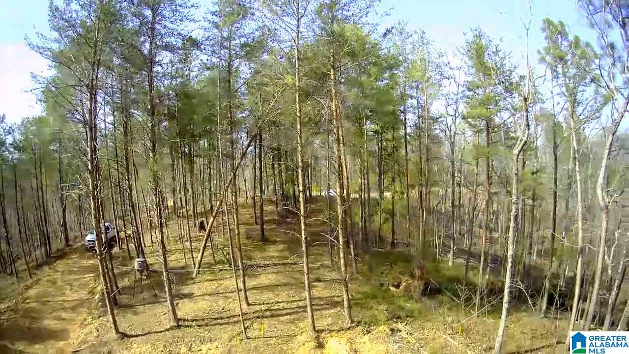 Solitude Drive, Unit 17 Clanton, AL 35046 - Photo 2 of 4