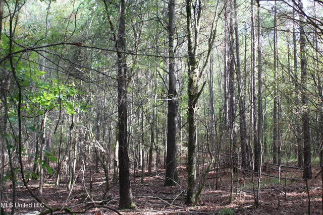 $87,500 | 7 Old Byhalia Road, Byhalia, MS 38611