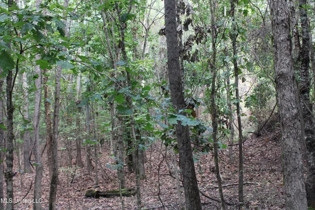 $87,500 | 7 Old Byhalia Road, Byhalia, MS 38611