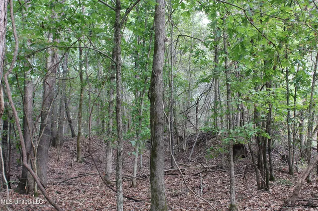 $87,500 | 7 Old Byhalia Road, Byhalia, MS 38611