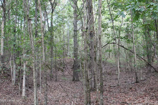 $87,500 | 7 Old Byhalia Road, Byhalia, MS 38611