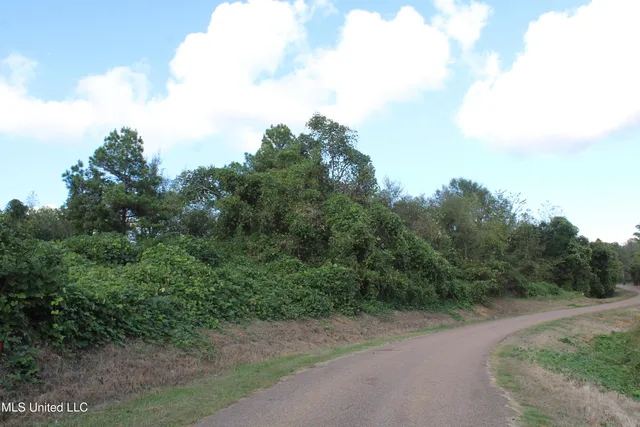 $87,500 | 7 Old Byhalia Road, Byhalia, MS 38611