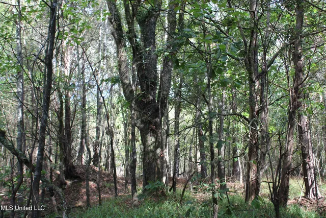 $87,500 | 7 Old Byhalia Road, Byhalia, MS 38611