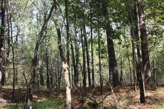 $87,500 | 7 Old Byhalia Road, Byhalia, MS 38611