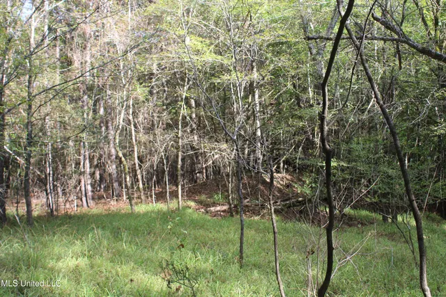 $87,500 | 7 Old Byhalia Road, Byhalia, MS 38611